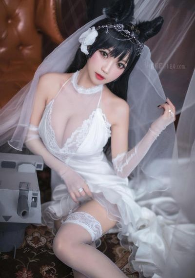 完美世界230集