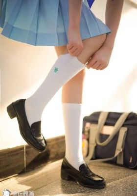 炮弹专家