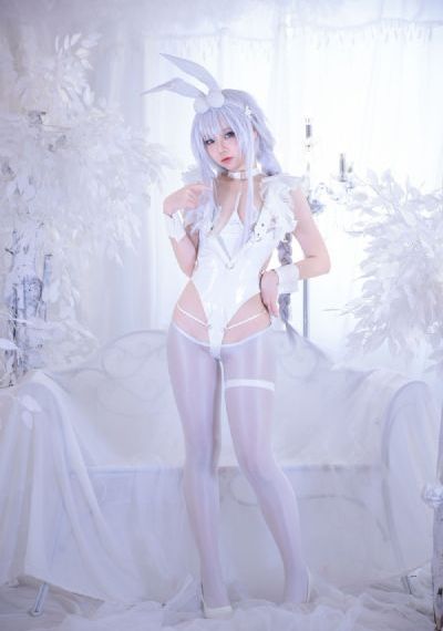动漫后宫